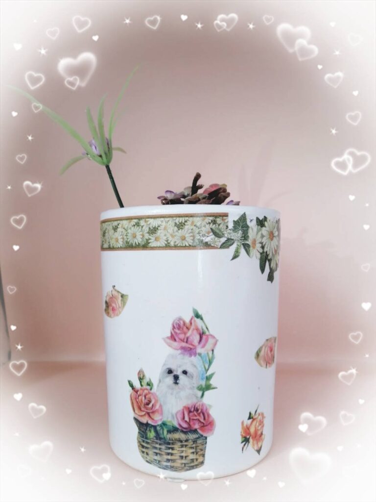 petit kuni🎀レッスンデー